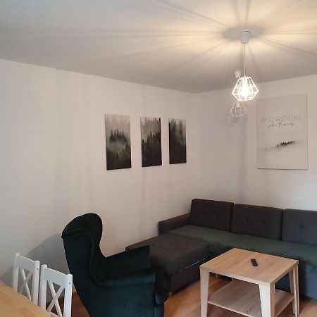Apartament Aga Ustrzyki Dolne Esterno foto
